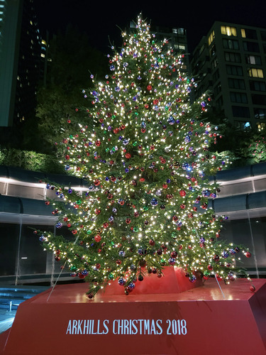 20181120_212824.jpg