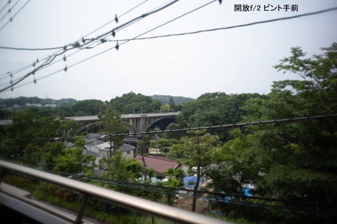 L1003148.jpg
