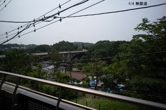 L1003149.jpg