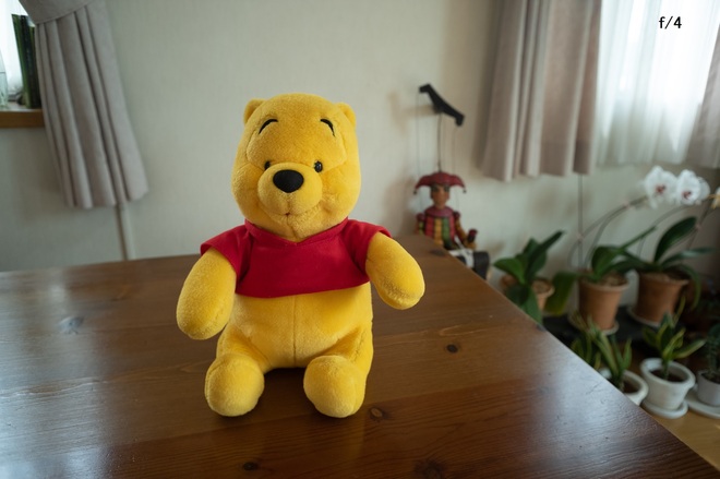 L1003151.jpg