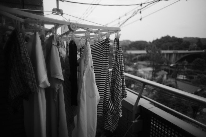 L1003156.jpg