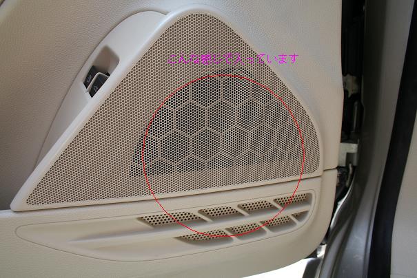 front_sp_grill.JPG