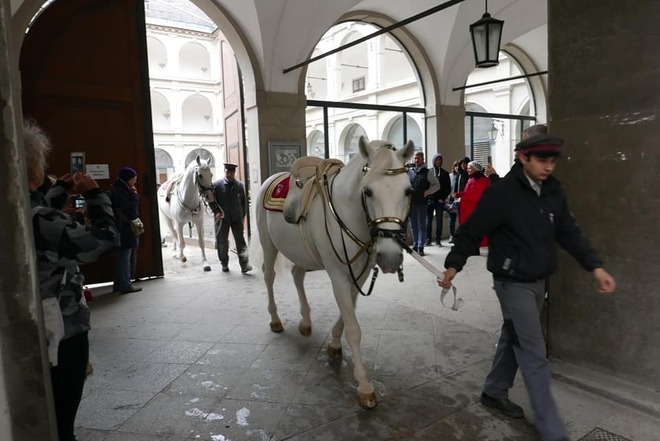 wien4.jpg