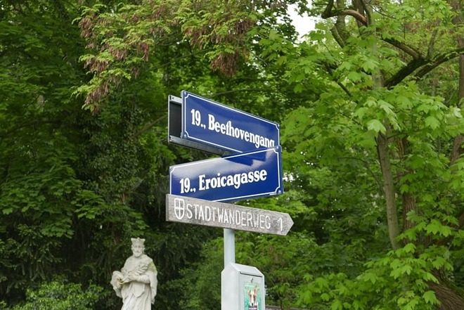 wien5.jpg